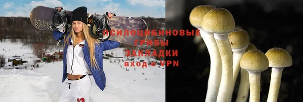 героин Алексин