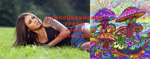 гашик Алзамай