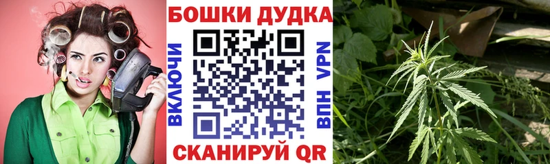 Бошки марихуана MAZAR mega рабочий сайт Солнечногорск купить наркоту